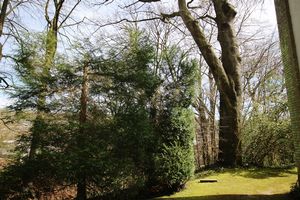 COMMUNAL GARDEN- click for photo gallery